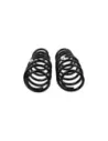 Ressort Arriere Jk Ultd 50 150kg la Paire Old Man Emu Jeep