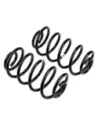 Ressort arriere TJ 2P +50 100Kg - La Paire OLD MAN EMU - accessoire
