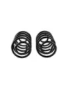 Ressort arriere TJ 2P +50 100Kg - La Paire OLD MAN EMU - accessoire