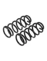 Ressort avant Y61 3 0 +50 0-50Kg - La Paire OLD MAN EMU - accessoire