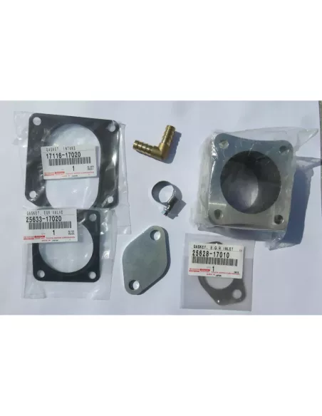 Kit de suppression de vanne EGR HDJ100 - EGR refroidie par eau