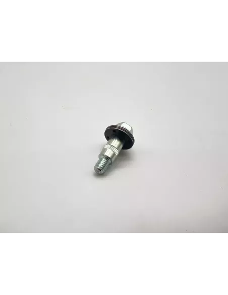 Vis avec Rondelle de Cache Culbuteur et 24s Toyota Land