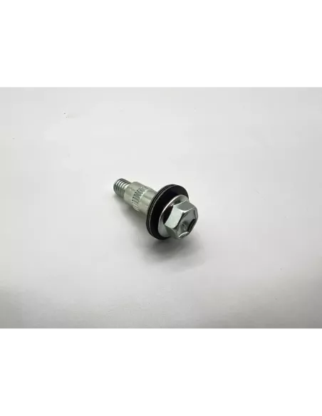 Vis avec Rondelle de Cache Culbuteur et 24s Toyota Land