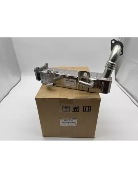 Refroidisseur EGR Recirculation Gaz Échappement 173cv