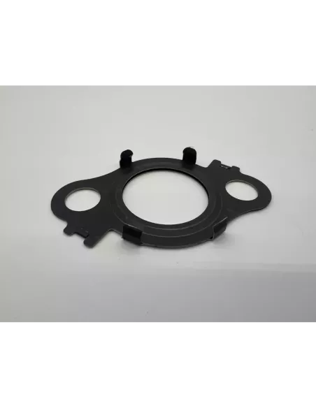 Joint de Tube EGR Entre Collecteur et Refroidisseur EGR