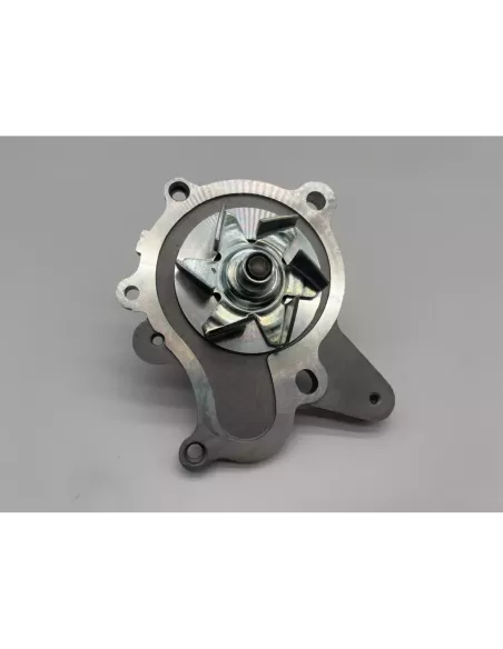 Pompe à Eau Hyndai Santa Fe et Tucson 20 Crdi Aisin