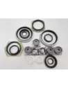 Kit joints de bols et roulements de pivots Patrol GR Y60