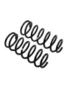 Ressort arriere UZJ100 +10 Medium - La Paire OLD MAN EMU - accessoire