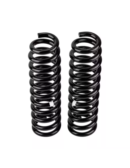 Ressort avant KDJ95 +40 50-110Kg - La Paire OLD MAN EMU - accessoire