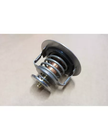 Thermostat calorstat ouverture 76°C motorisations 1HZ 1HD-T 1HD-FT