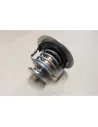 Thermostat calorstat ouverture 76°C motorisations 1HZ 1HD-T 1HD-FT