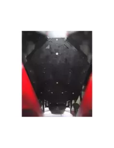 10 mm HDPE volledige beschermende skiën voor RZR 900 XP 2 plaatsen 2