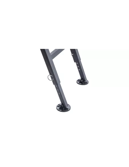 Echelle Rhino Rack pliante d'accès à la galerie RHINO RACK -