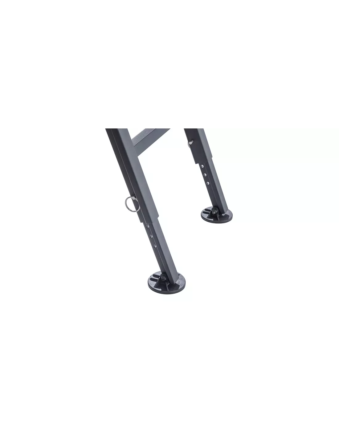 Echelle Rhino Rack pliante d'accès à la galerie RHINO RACK -