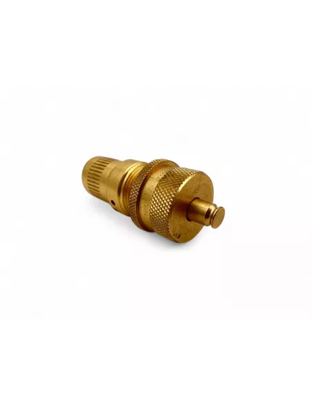 Degonfleurs pneus Staun 1.03 a 3.9 bars (jeu de 4): vert STAUN -