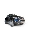 Buffalo met beschermende plaat voor NISSAN PATHFINDER