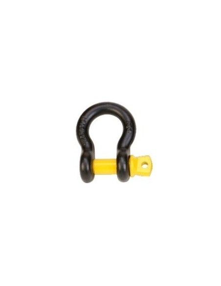 Manille lyre 20 mm