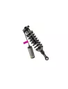 Combiné ressort amortisseur OME BP51 avant droit Ford Ranger T6 T7