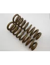 Ressorts avant DTC Parts +50mm tarage +50Kg Toyota Hilux Revo - La