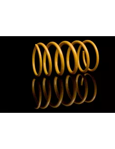 RESSORT AR HDJ80 HDJ100 HZJ105 - La Paire KING SPRINGS - accessoire 2