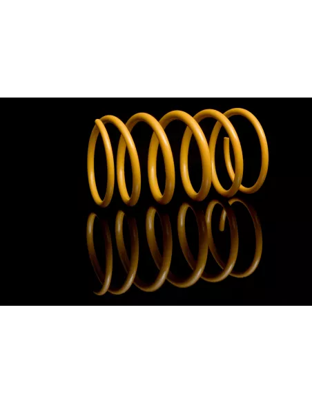RESSORT AR HDJ80 HDJ100 HZJ105 - La Paire KING SPRINGS - accessoire