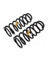 Ressort arriere HDJ80 HDJ100 +75mm - La Paire OLD MAN EMU -