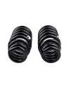 Ressort avant Triton ES apres 06 +10 - La Paire OLD MAN EMU -