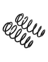 Ressort arriere JK +50 Medium - La Paire OLD MAN EMU - accessoire 4x4