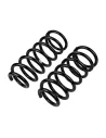 Ressort arriere VDJ200 +20 200Kg - La Paire OLD MAN EMU - accessoire