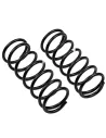 Ressort avant Discovery II +40 20-50Kg - La Paire OLD MAN EMU -