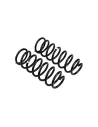 Ressort arriere HDJ100 HDJ80 200Kg - La Paire OLD MAN EMU -