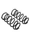 Ressort arriere Runner 90-96 +40 - La Paire OLD MAN EMU - accessoire