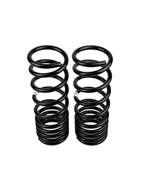 Ressort arriere Frontera +20 Medium - La Paire OLD MAN EMU -
