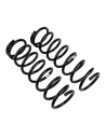 Ressort arriere Terrano II +20 Medium - La Paire OLD MAN EMU -