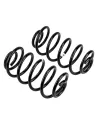 Ressort arriere TJ 2P +50 100Kg - La Paire OLD MAN EMU - accessoire