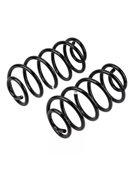 Ressort arriere TJ 2P +50 100Kg - La Paire OLD MAN EMU - accessoire