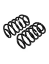 Ressort arriere TJ ULTD +50 200Kg - La Paire OLD MAN EMU - accessoire
