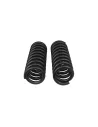 Ressorts avant progressifs OME +50mm Toyota Land Cruiser 200 4.7 V8