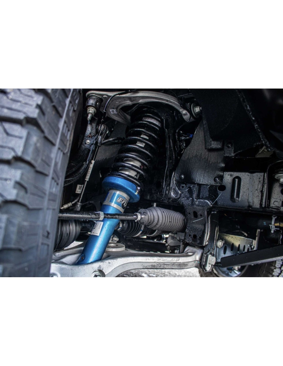 Ressorts avant Terrain Tamer +50mm Ford Ranger Raptor