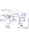 Durite entre refroidisseur EGR et bloc KDJ12 173cv TOYOTA -