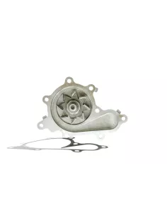 Pompe à eau Xtrail 2.2DCi 2000-2007 AISIN - accessoire 4x4