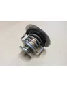 Thermostat calorstat ouverture 76°C motorisations 1HZ 1HD-T 1HD-FT