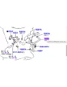 Durite de refroidissement sur refroidisseur EGR KDJ12 163cv TOYOTA -