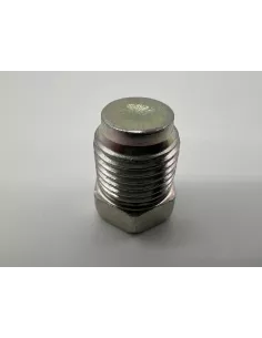 Bouchon circuit refroidissement sur bloc moteur HDJ80 HDJ100 HZJ7 2