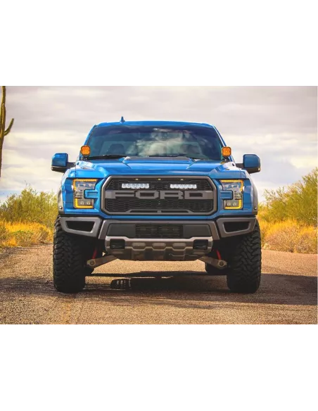 Kit calandre Lazer Carbon-6 Drive Ford F-150 Raptor 2017-2020 LAZER -