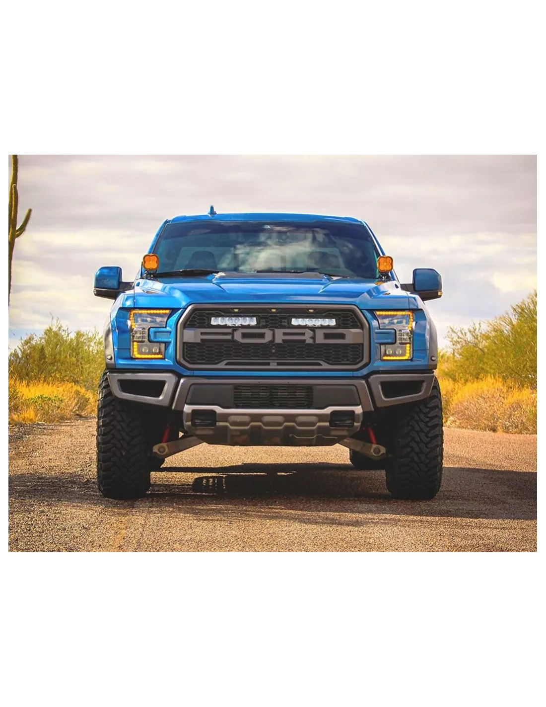 Kit calandre Lazer Carbon-6 Drive Ford F-150 Raptor 2017-2020 LAZER -