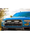 Kit calandre Lazer Carbon-6 Drive Ford F-150 Raptor 2017-2020 LAZER -