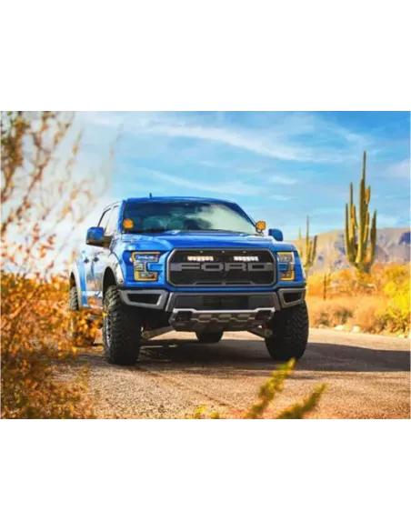 Kit calandre Lazer Carbon-6 Spot Ford F-150 Raptor 2017-2020 LAZER -