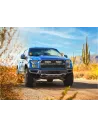 Kit calandre Lazer Carbon-6 Spot Ford F-150 Raptor 2017-2020 LAZER -
