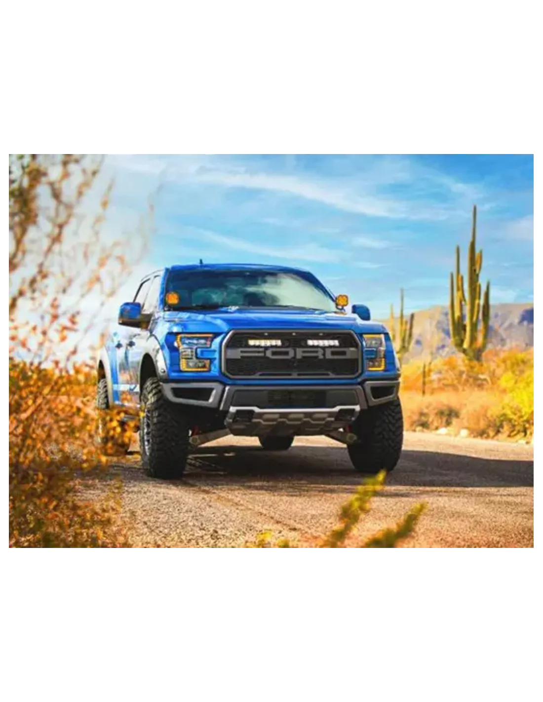 Kit calandre Lazer Carbon-6 Spot Ford F-150 Raptor 2017-2020 LAZER -